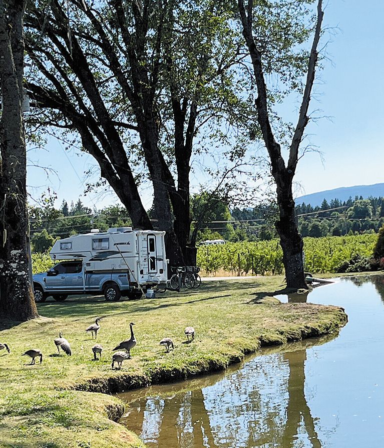 Geese walking by a pond and vineyard with a truck camper parked nearby. ## Photo provided by Harvest Hosts Geese walking by a pond and vineyard with a truck camper parked nearby. ## Photo provided by Harvest Hosts