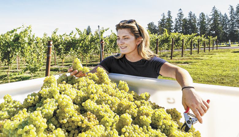 Julia Cresto of Ponzi Vineyards. ##Photo provided