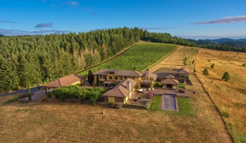 Iris Vineyard’s tasting room overlooks Chalice Vineyard at Iris Hill in the beautiful Oregon Coast Mountain Range. ##Photo provided
