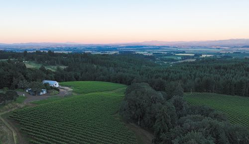 Aerial view of the Orchard House Vineyard, home of Iterum Wines. ## Photo provided by Iterum Wines