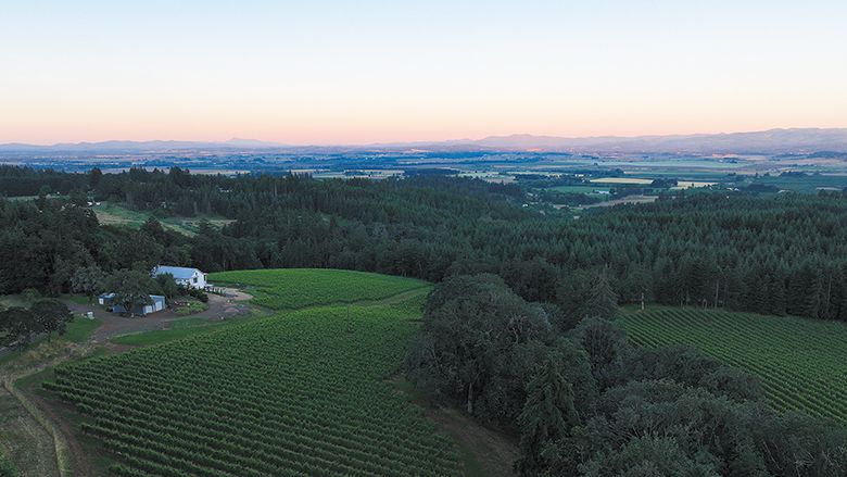 Aerial view of the Orchard House Vineyard, home of Iterum Wines. ## Photo provided by Iterum Wines