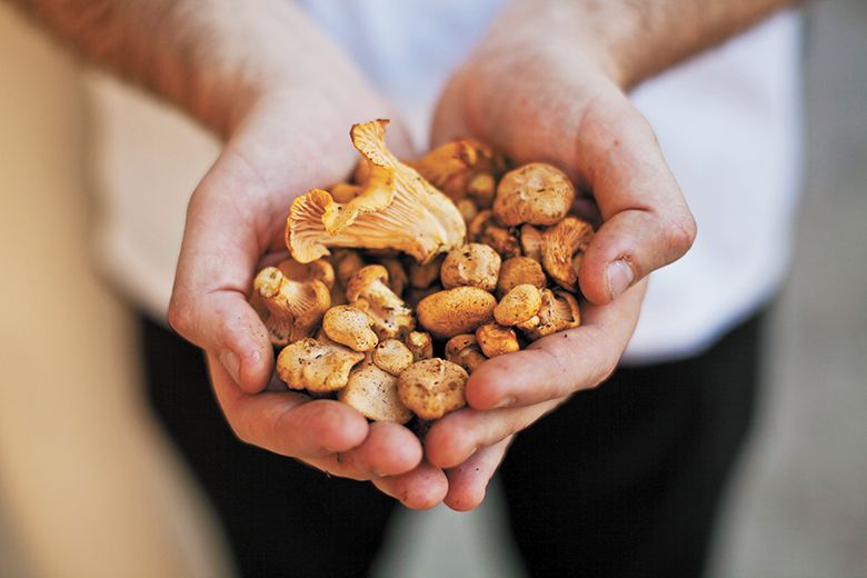 Mushrooms are the primary focus at the restaurant. ##Photo Provided