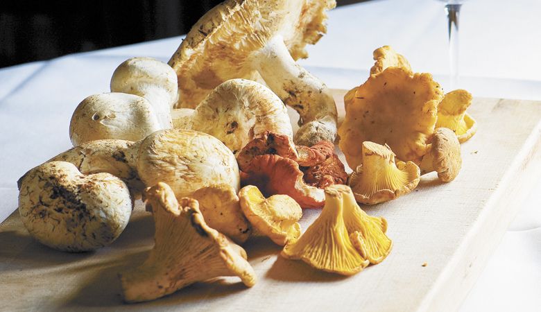 Foraged mushrooms at The Joel Palmer House. ##Photo by Andrea Johnson