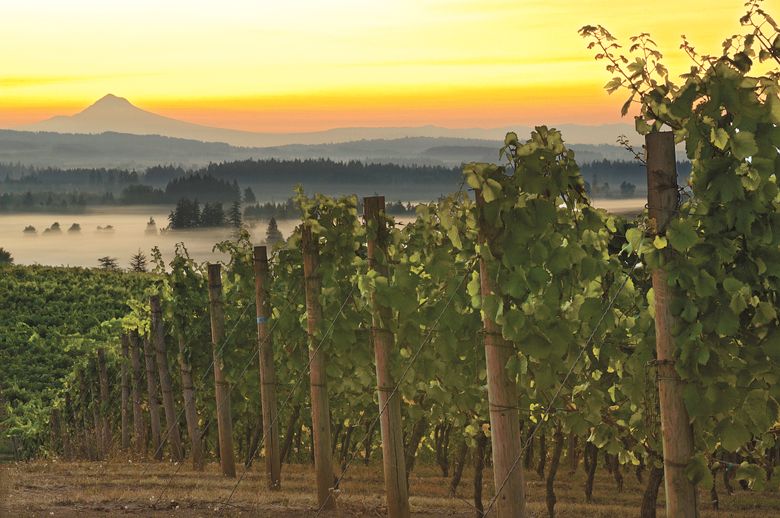 Fog covers the Willamette Valley as the sun rises behind Mount Hood.##Photo by Janis Miglavs