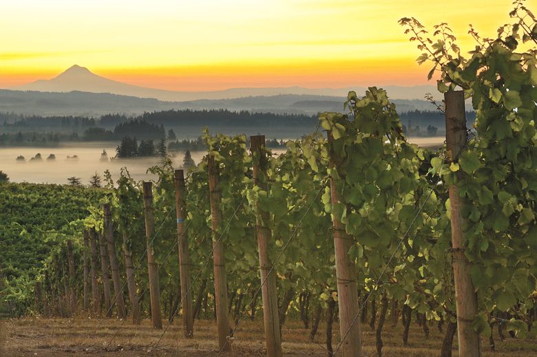 Fog covers the Willamette Valley as the sun rises behind Mount Hood.##Photo by Janis Miglavs Fog covers the Willamette Valley as the sun rises behind Mount Hood.##Photo by Janis Miglavs