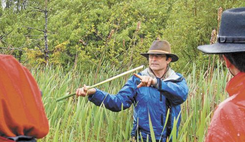 During a four-day Native Shores Wild Food Rendezvous in early May, John Kallas points to the edible base of a cattail plant (Typha latifolia), otherwise known as “cattail celery.”##Photo by Aubrie Legault