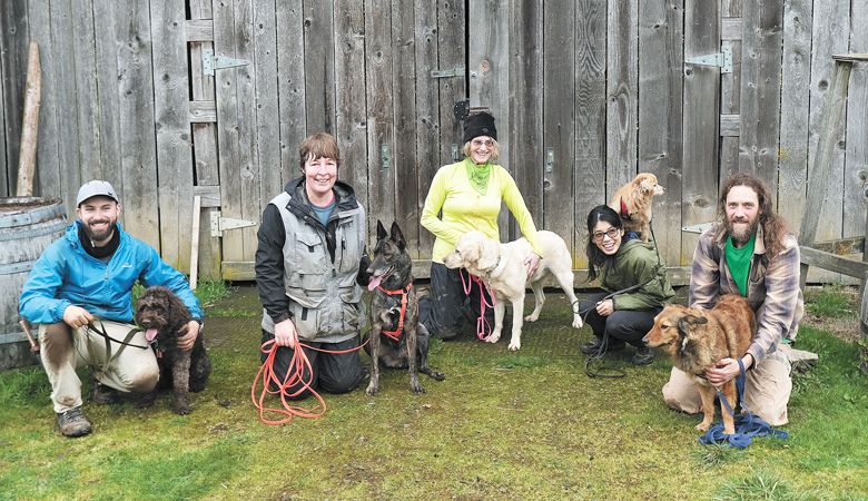 Joriad
competitors (from
left) Falco, a lagotto
Romagnolo,
and owner Michael
Chang; Vodka, a
Dutch Shepherd,
and owner Jenny
Thorp; Joey, a
Field labrador, and
owner Ava Chapman;
Flint, a Cocker Spaniel, and owner
Anita Yee;
and Cinnamon
Rose, an English
Shepherd, and
owner James Taylor. ##Photo by David BaraJas