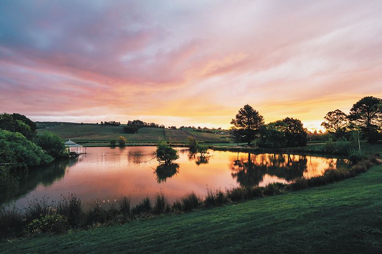 Lake and vineyards at Tamar Valley’s Josef Chromy Wines. ##Photo credit: Tourism Tasmania & Jewels Lynch