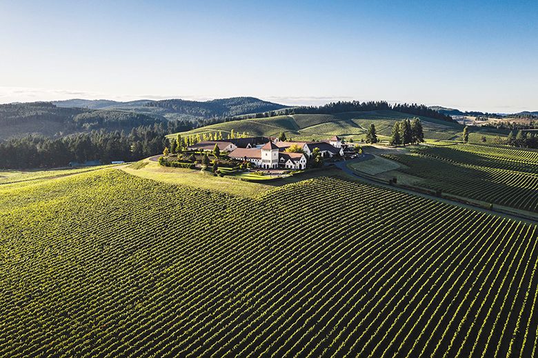 Biodynamically farmed King Estate has 460 acres planted in grapevines. Vineyard manager, Meliton Martinez,  is responsible for all these grapevines as well as another 70 acres at nearby Pfeiffer Vineyard. ## Photo provided by King Estate