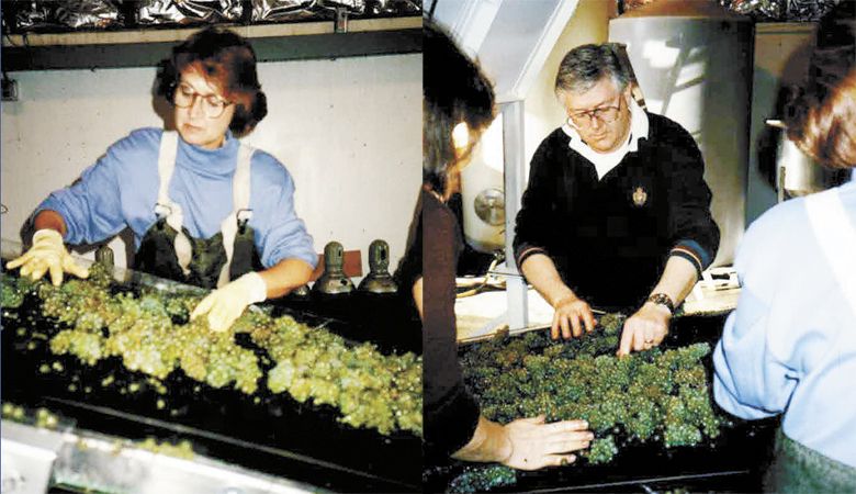 Grace and Ken Evenstad sort grapes during the 1990 harvest. ##Photo courtesy of Domaine Serene