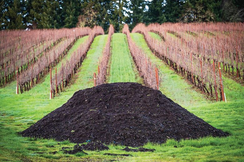 Compost at King Estate Winery is ready to be spread in the vineyard.##Photo by Andy Nelson