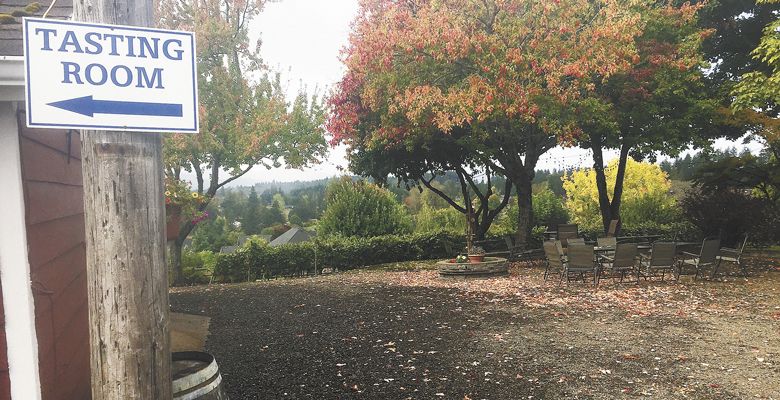 Fall colors take over at Springhill Cellars outside of Albany. ##Photo by Neil Zawicki