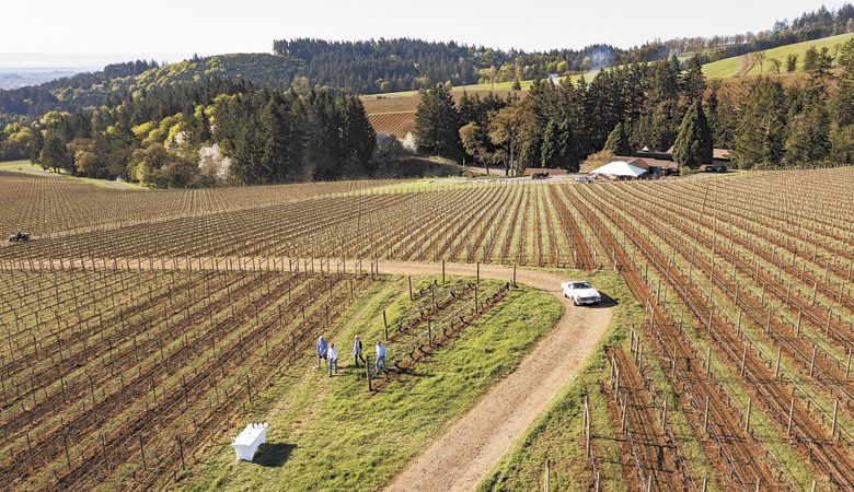 A spring tasting with the Knudsens at Knudsen Vineyards. The vintage Mercedes sits on the gravel road.
##Photo by Andrea Johnson