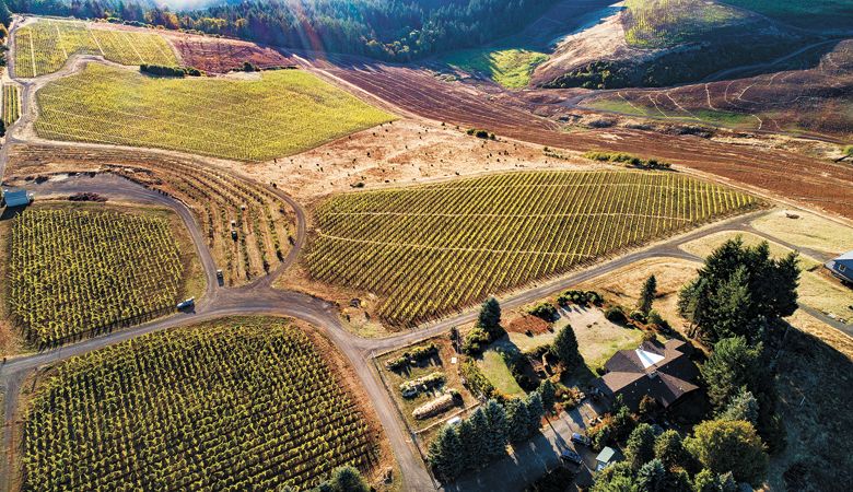 Koosah Farm in the Eola-Amity Hills contains not only vines but also an organic cider apple orchard. ##Photo by Andrea Johnson