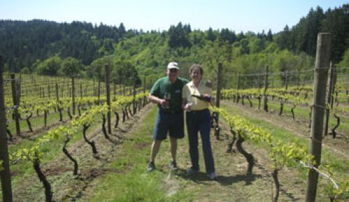 This recent photo shows how much the vineyard has matured over the last 20 years.