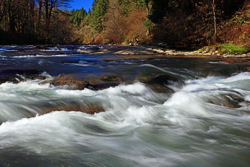 The Little Luckiamute River is a stream in Polk County. Lucky River Vineyards is named after the body of water.