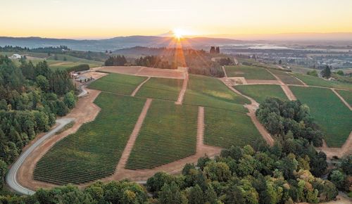 An aerial view of the LucidWild Estate property. ## Photo provided by LucidWild Estate