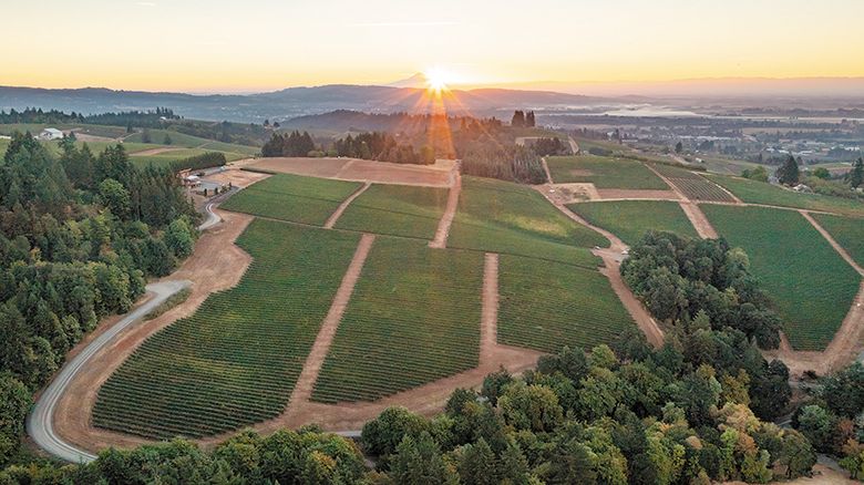 An aerial view of the LucidWild Estate property. ## Photo provided by LucidWild Estate