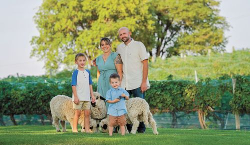 The Maiden family playing with their sheep. From left: Henry, Samantha, Simon and Andrew. ## Photo provided by Windrow Estate Winery