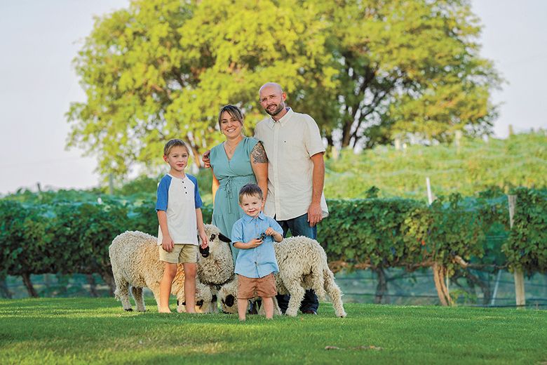 The Maiden family playing with their sheep. From left: Henry, Samantha, Simon and Andrew. ## Photo provided by Windrow Estate Winery