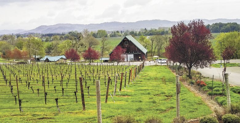 Melrose Vineyards ##Photo by Michael Alberty