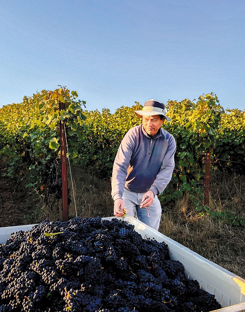 Miguel Ortiz, vineyard manager at Laurelwood Vineyard Management Company, where he oversees nearly 200 planted acres. ## Photo provided by Laurelwood Vineyard Management Company