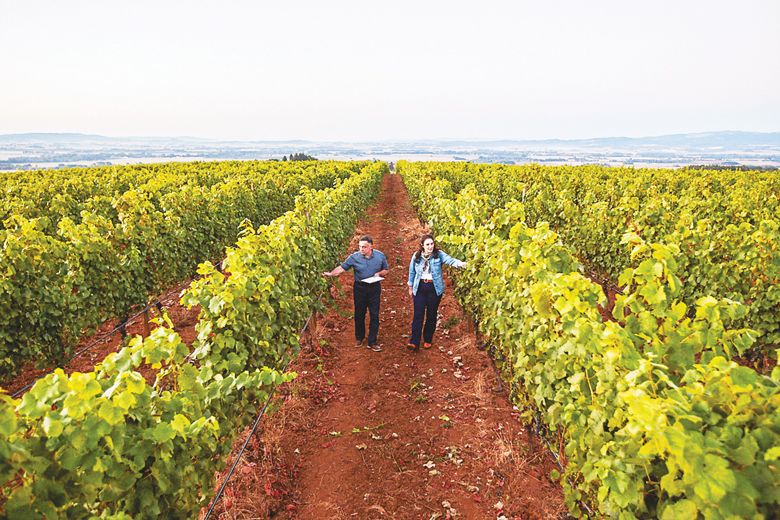 Moe Momtazi, with daughter Tahmiene, inspecting the growing vines in the vineyard.##photo provided by Maysara Winery/Momtazi Vineyard Moe Momtazi, with daughter Tahmiene, inspecting the growing vines in the vineyard.##photo provided by Maysara Winery/Momtazi Vineyard