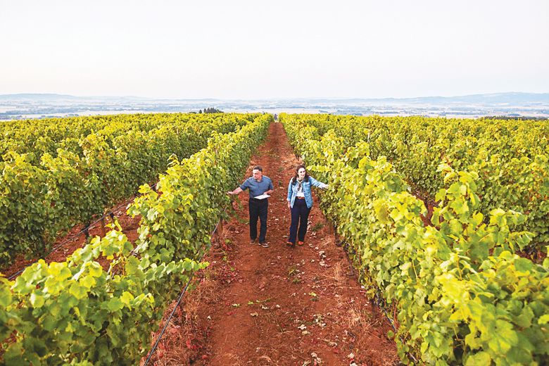 Moe Momtazi, with daughter Tahmiene, inspecting the growing vines in the vineyard.##photo provided by Maysara Winery/Momtazi Vineyard