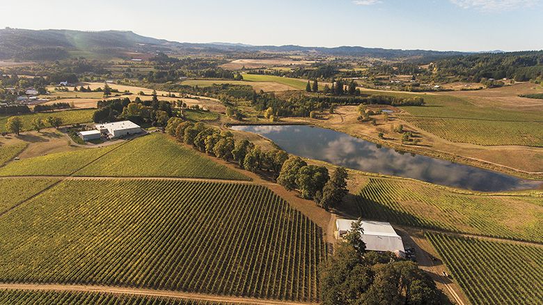 Aerial view of the Tualatin Hills’ 200-acre Montinore Esate property. ##Photo by Andrea Johnson