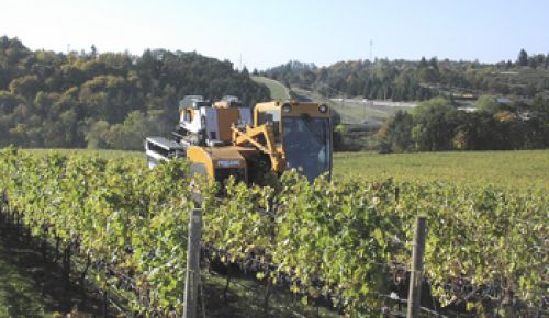 Ken Johnston’s mechanical harvester picks fruit at an eastern Willamette Valley vineyard. Photo provided by Winemakers Investment Properties.