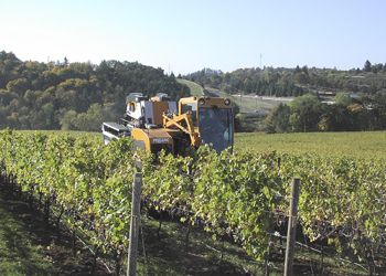 Ken Johnston’s mechanical harvester picks fruit at an eastern Willamette Valley vineyard. Photo provided by Winemakers Investment Properties. Ken Johnston’s mechanical harvester picks fruit at an eastern Willamette Valley vineyard. Photo provided by Winemakers Investment Properties.