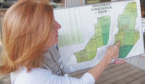 Page Knudsen Cowles shows a map of the replanting being done at Knudsen Vineyards. ##Photo by Jade Helm