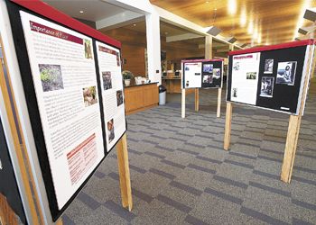 Free-standing displays present photos and
biographical outlines of industry founders in the
Willamette Valley. Photo by Marcus Larson.