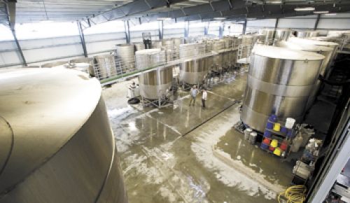 NW Wine Co.’s new facility is filled with towering tanks and other equipment.