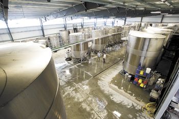 NW Wine Co.’s new facility is filled with towering tanks and other equipment.