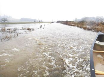 In mid-January, the road that leads to Penner-Ash Wine Cellars near Newberg was
underwater and had to be navigated by canoe. In mid-January, the road that leads to Penner-Ash Wine Cellars near Newberg was
underwater and had to be navigated by canoe.