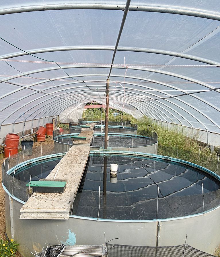Several self-cleaning tanks sustainably growing over 25,000 pounds of sturgeon. ## Photo provided by Oregon Royal Sturgeon Company