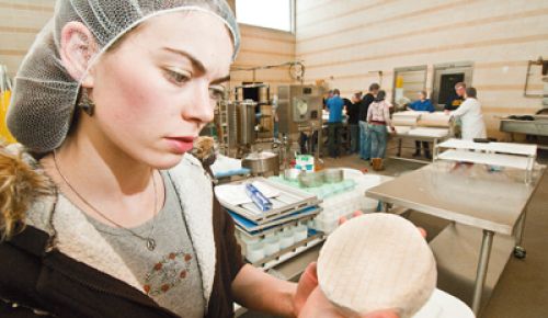 An OSU student checks on artisan cheese she made at the school’s Arbuthnot Dairy Center in Corvallis. Photo by Lynn Ketchum.