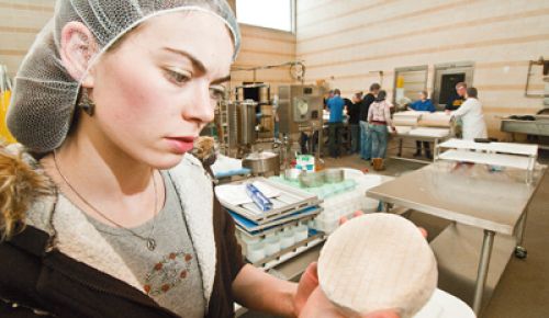 An OSU student checks on artisan cheese she made at the school&rsquo;s Arbuthnot Dairy Center in Corvallis. Photo by Lynn Ketchum.