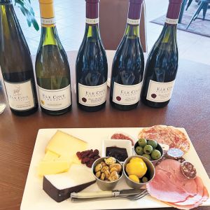 Food and library wine sampling at Elk Cove Vineyards. ##Photo by Sarah Murdoch