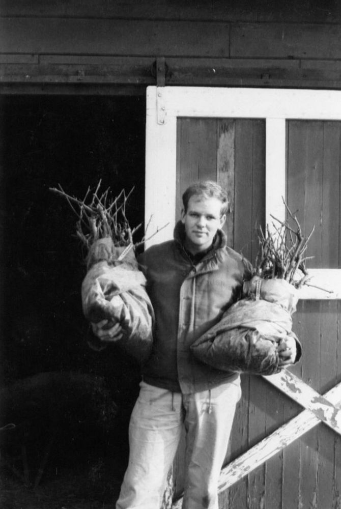 The Eyrie Vineyards founder David Lett with Chardonnay plants, mid 1960s.  ##Photo provided by The Eyrie Vineyards