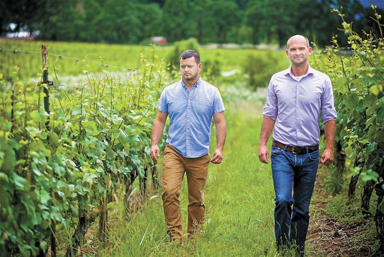 yan Harms (left) walking with brother Eric. BELOW: Union Wine Company produces four distinct brands; Underwood, Kings Ridge, Alchemist and Amity.