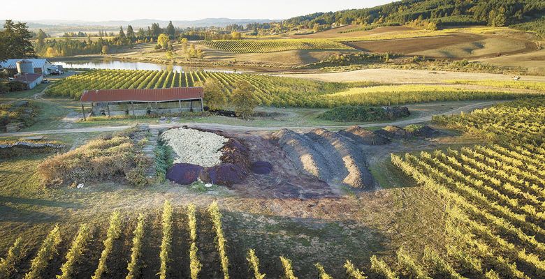 An aerial perspective of the compost piles at Montinore Estate. ##Photo by Andrea Johnson