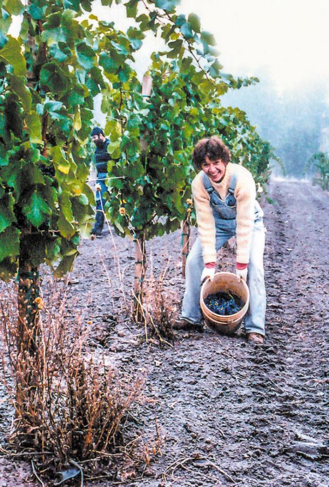 Pat Dudley with Pinot Noir grapes during Bethel Heights Vineyard s first harvest. Photo taken in 1981. ## Photo courtesy of Pat Dudley Pat Dudley with Pinot Noir grapes during Bethel Heights Vineyard s first harvest. Photo taken in 1981. ## Photo courtesy of Pat Dudley