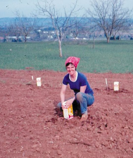 Durant Vineyards co-founder Penny Durant protecting the young vines with used milk cartons. ## Photo provided by Durant Vineyards Durant Vineyards co-founder Penny Durant protecting the young vines with used milk cartons. ## Photo provided by Durant Vineyards