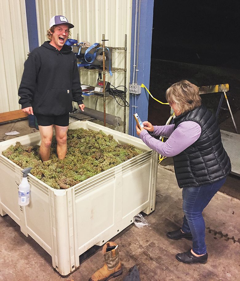 Gabriel Keeler taking a photo of Peter Dredge during an Oregon harvest. ##Photo provided by Peter Dredge