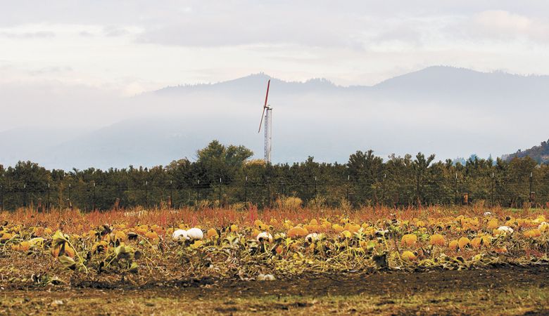 Pheasant Fields Farm will host its 17th annual Harvest Festival on a 20-acre family farm located between Ashland and Medford. ##Photo provided