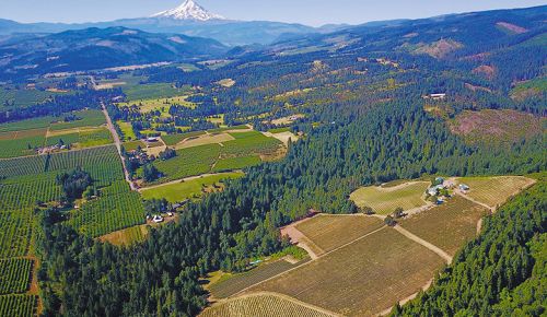 Aerial view of Phelps Creek Vineyards. ## Photo provided by Phelps Creek Vineyards