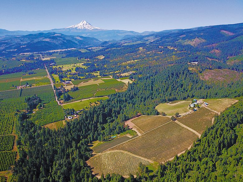 Aerial view of Phelps Creek Vineyards. ## Photo provided by Phelps Creek Vineyards Aerial view of Phelps Creek Vineyards. ## Photo provided by Phelps Creek Vineyards
