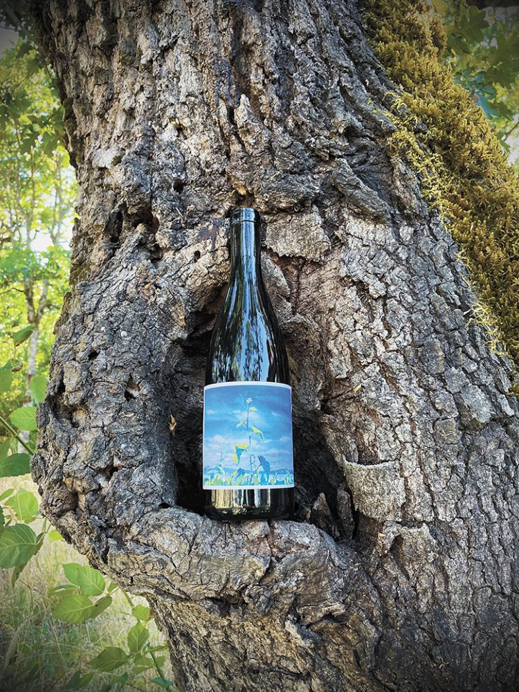 A bottle of Johan Vineyard’s new Savagnin wine nestled within a tree on the property. ##Photo Provided by Johan Vineyards A bottle of Johan Vineyard’s new Savagnin wine nestled within a tree on the property. ##Photo Provided by Johan Vineyards